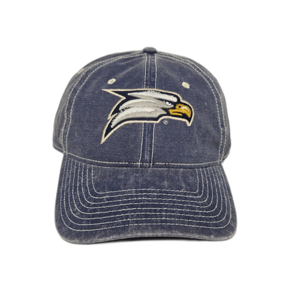 Vintage Georgia Southern Eagles Dad Hat | The Game | Blue Adjustable